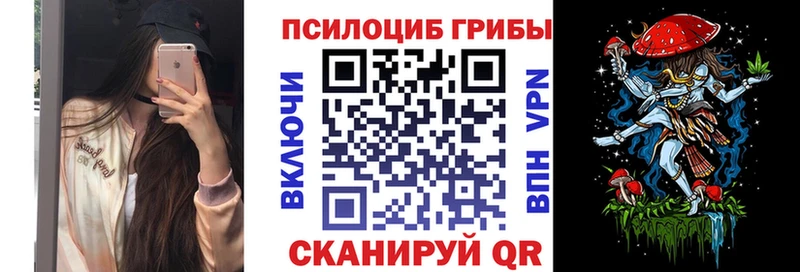 Купить закладки  Балтийск  Галлюциногенные грибы MAGIC MUSHROOMS 